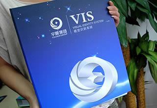 企业形象设计-企业形象vi设计一整套
